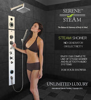 Hand Held Shower Head Stainless Steel by Serene Steam