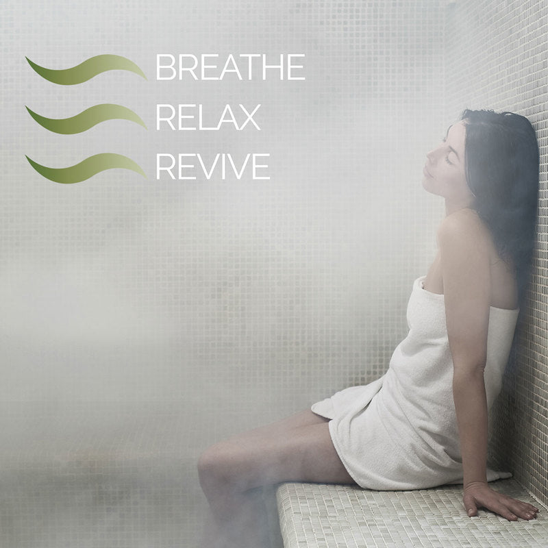 Serene Steam Shower Solar Flare Revive ADA